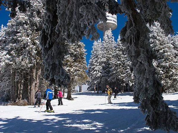 Skisportssteder i Bulgarien