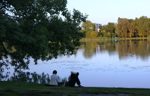 På bredden af ​​den gamle kuban