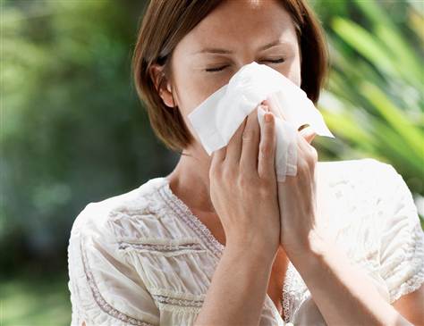 Hvordan man behandler en allergisk rhinitis