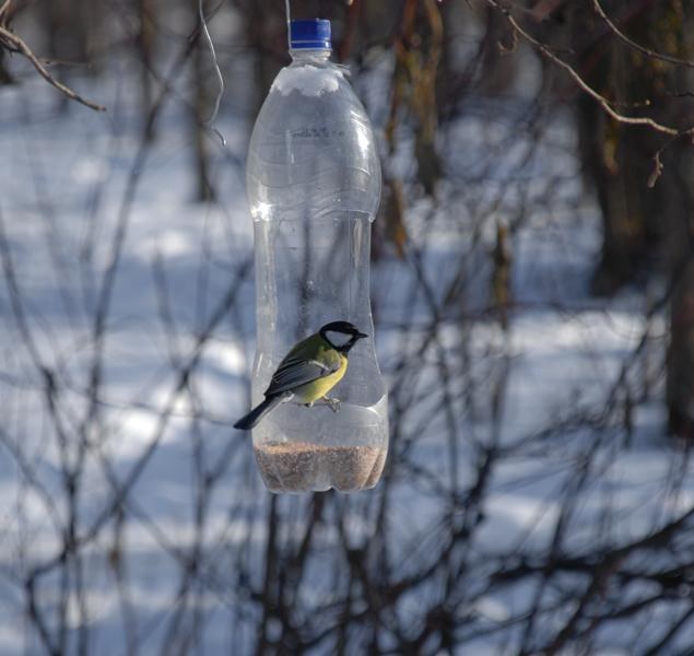 Sådan laver du en fugl feeder